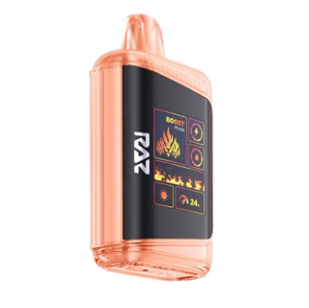 RAZ DC25000 Disposable Vape DISPOSABLE