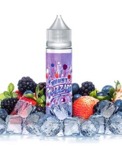 Berry Brrrst by Burst Blizzard 60ML