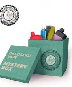 Disposable Vape Mystery Box