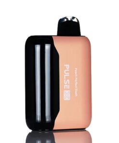 Pulse X Disposable Vape 25000 Puffs