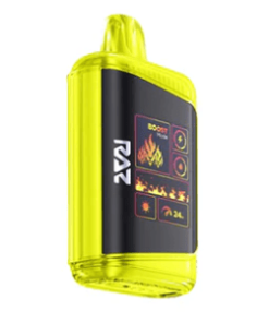 RAZ DC25000 Disposable Vape