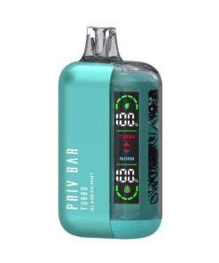 SMOK Priv Bar Turbo Disposable Vape 15000 Puffs